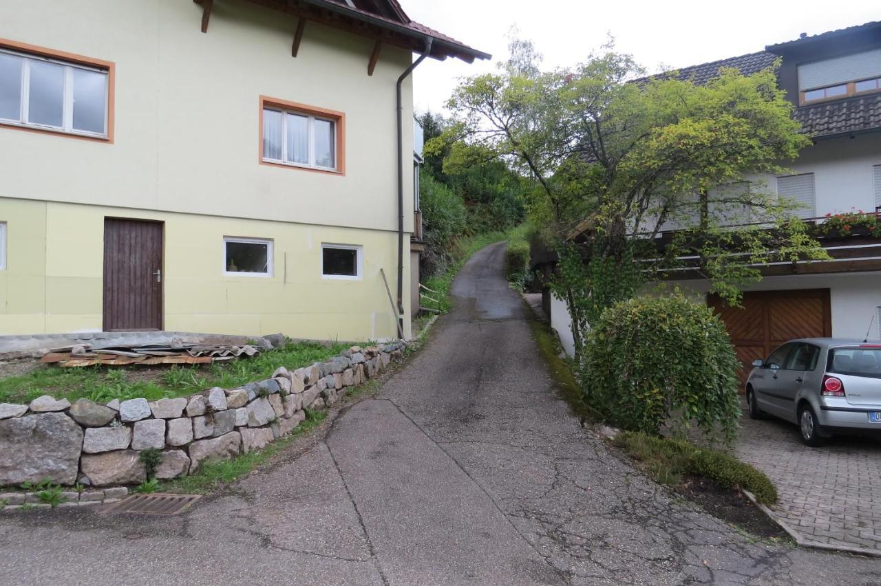 Einzigartiges Apartment, Mitten In Der Natur Оттенгефен-ім-Шварцвальд Екстер'єр фото