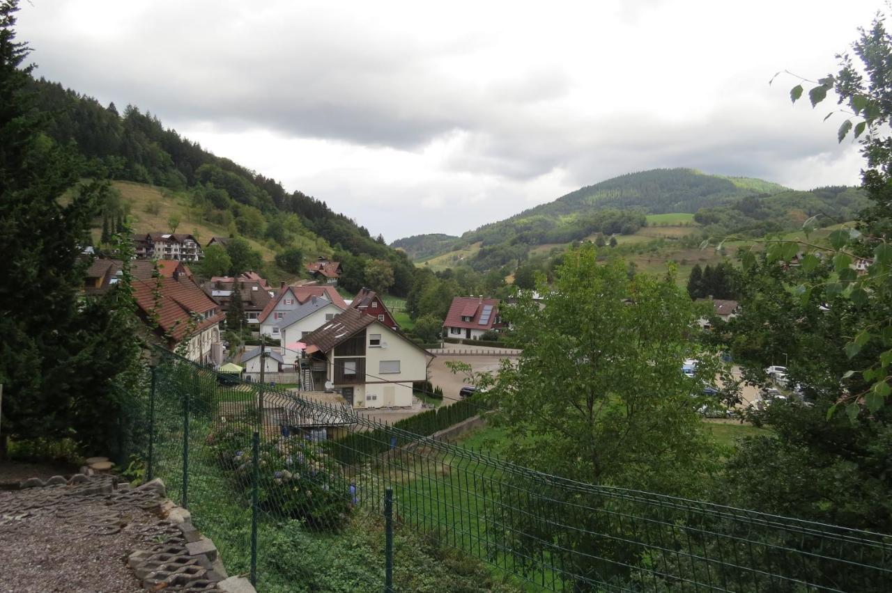 Einzigartiges Apartment, Mitten In Der Natur Оттенгефен-ім-Шварцвальд Екстер'єр фото