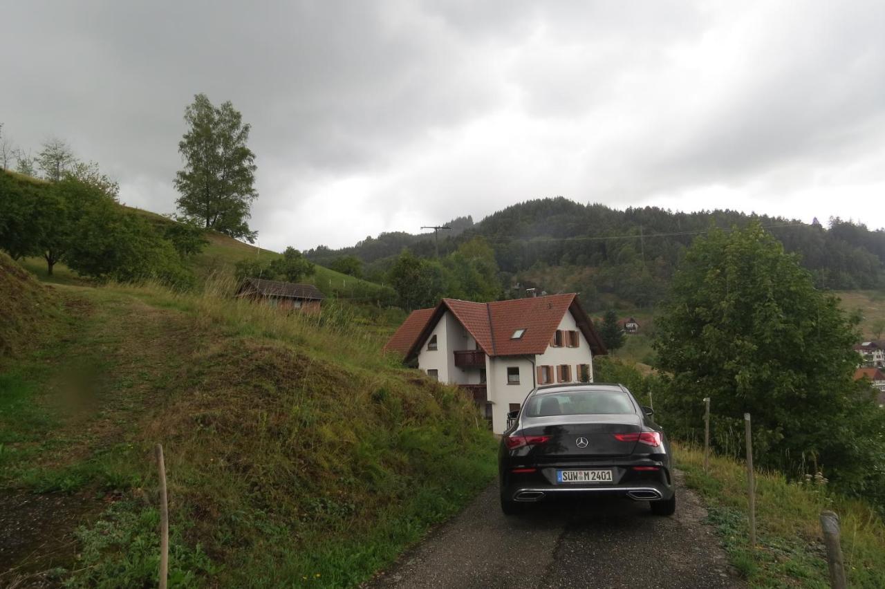 Einzigartiges Apartment, Mitten In Der Natur Оттенгефен-ім-Шварцвальд Екстер'єр фото