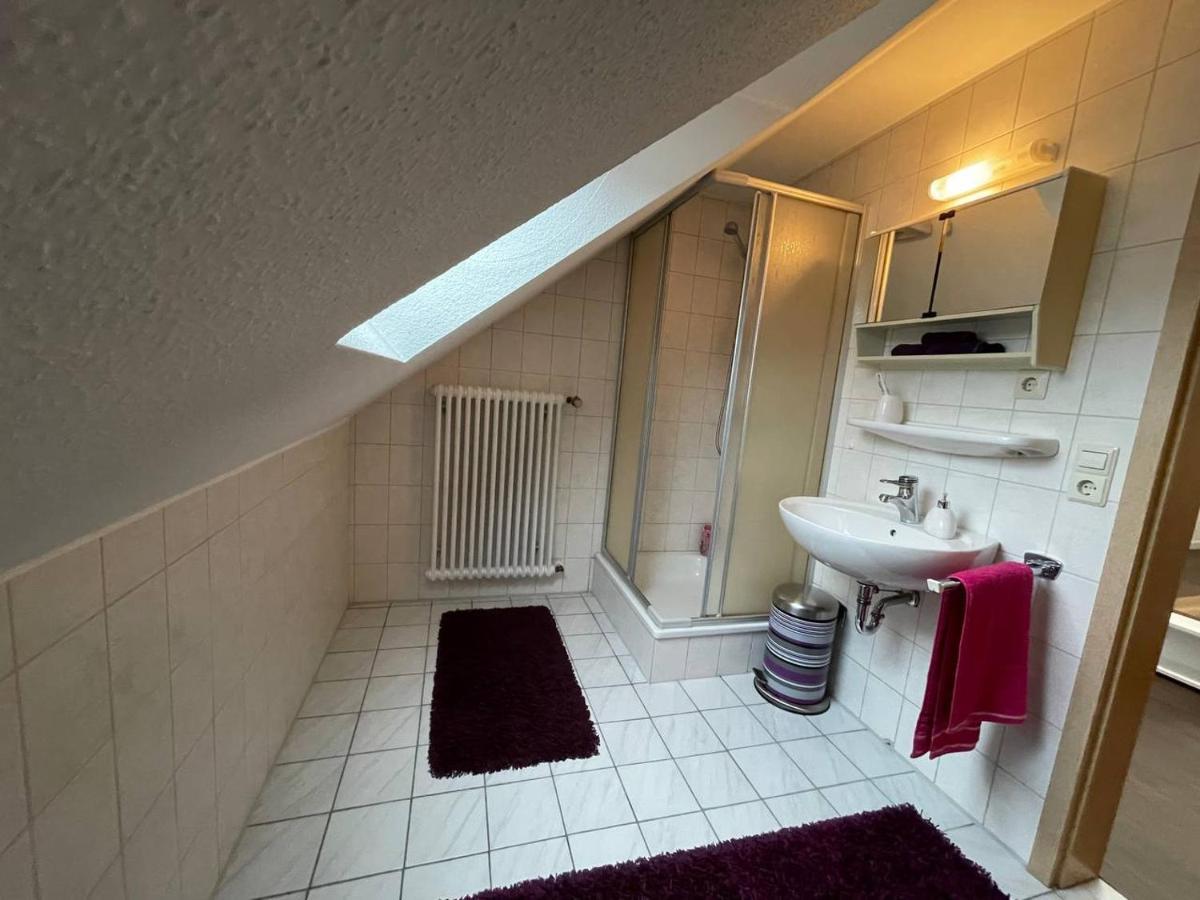Einzigartiges Apartment, Mitten In Der Natur Оттенгефен-ім-Шварцвальд Екстер'єр фото