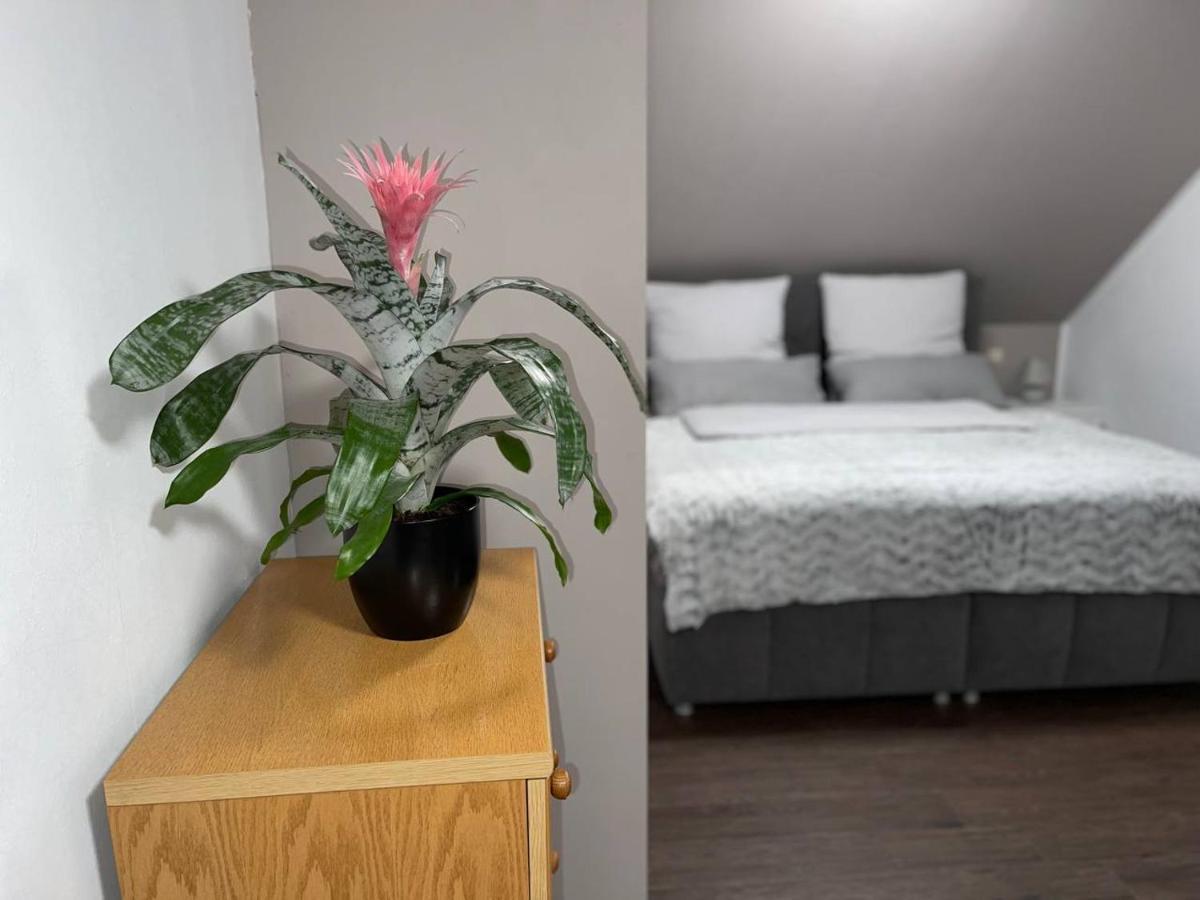Einzigartiges Apartment, Mitten In Der Natur Оттенгефен-ім-Шварцвальд Екстер'єр фото