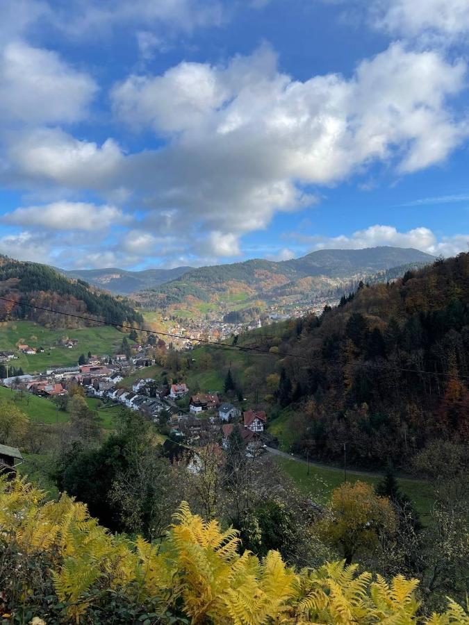 Einzigartiges Apartment, Mitten In Der Natur Оттенгефен-ім-Шварцвальд Екстер'єр фото