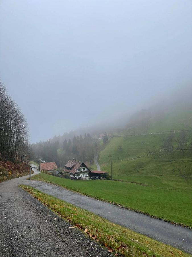 Einzigartiges Apartment, Mitten In Der Natur Оттенгефен-ім-Шварцвальд Екстер'єр фото