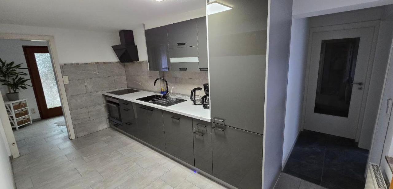 Einzigartiges Apartment, Mitten In Der Natur Оттенгефен-ім-Шварцвальд Екстер'єр фото