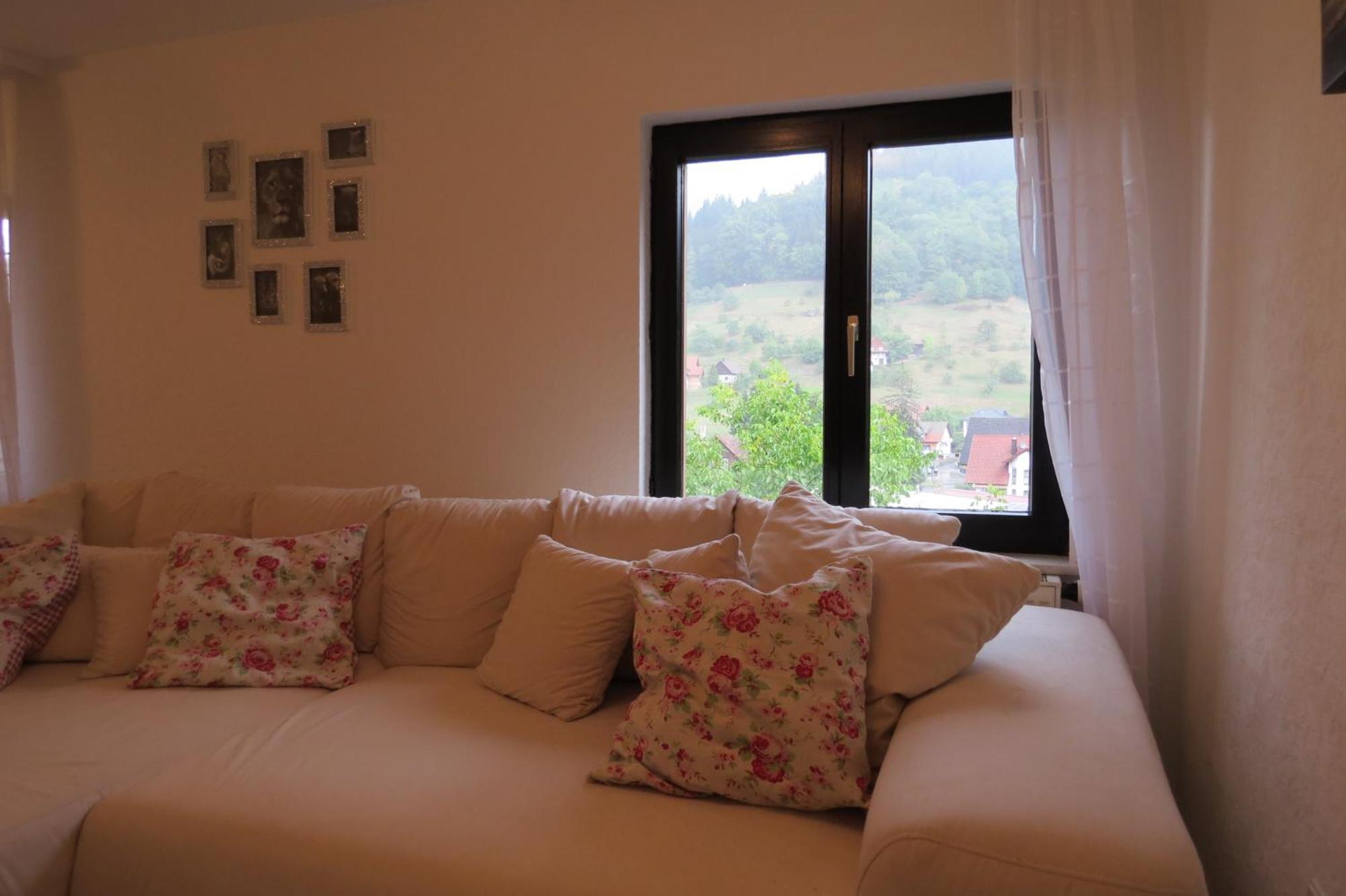 Einzigartiges Apartment, Mitten In Der Natur Оттенгефен-ім-Шварцвальд Екстер'єр фото
