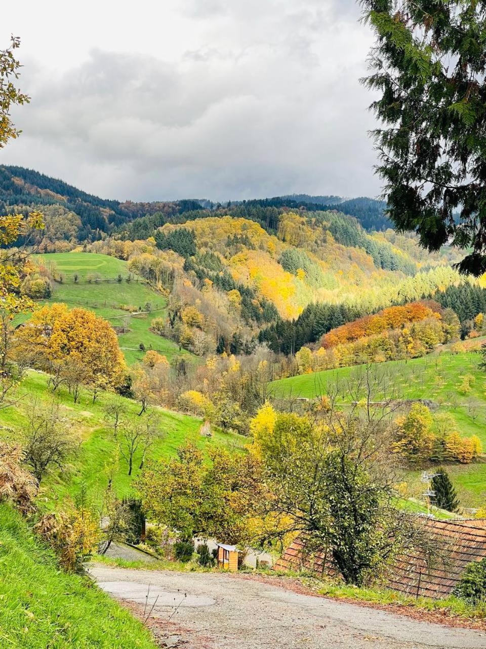 Einzigartiges Apartment, Mitten In Der Natur Оттенгефен-ім-Шварцвальд Екстер'єр фото